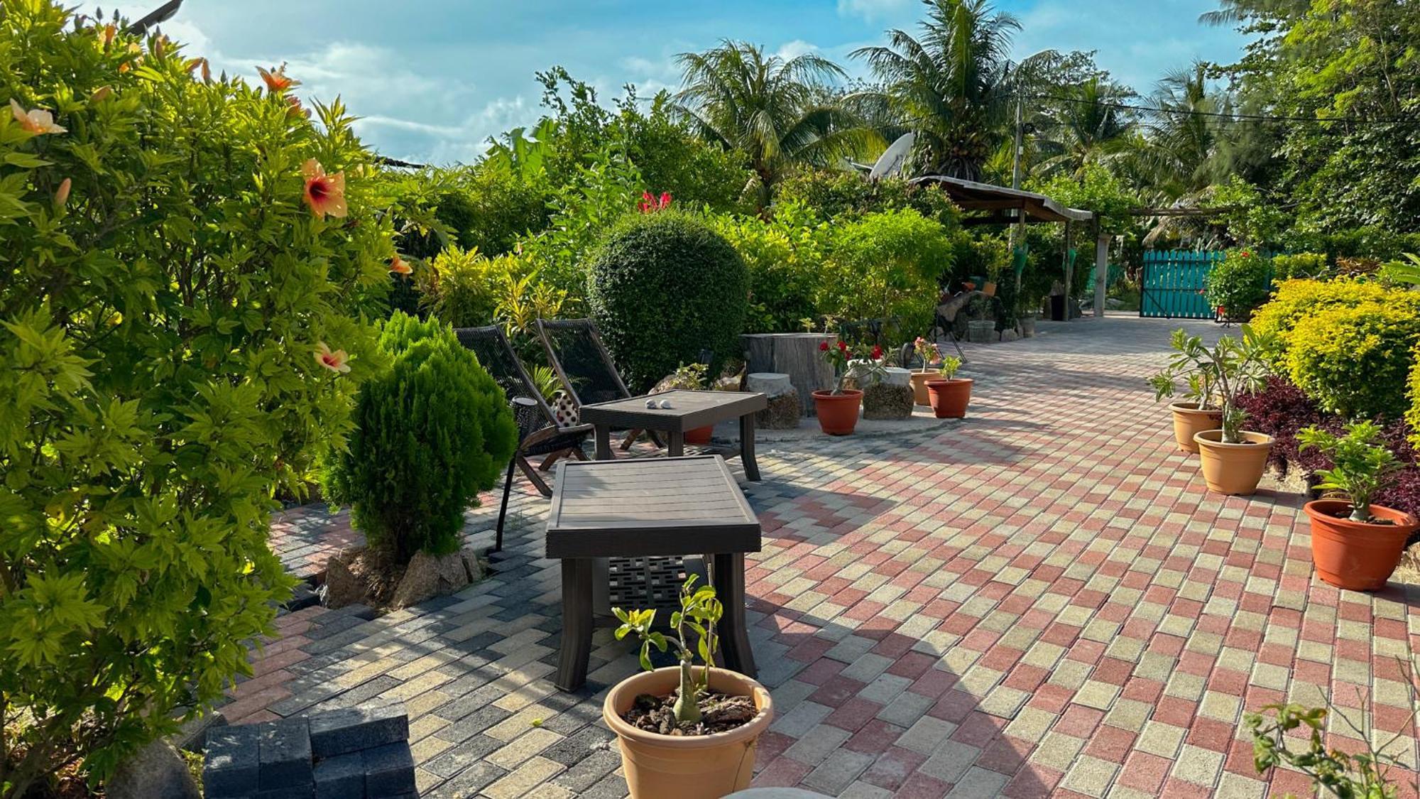 לה דיג Bwaver Cottage מראה חיצוני תמונה
